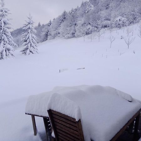 Apartmaji Borstner Vransko Bagian luar foto