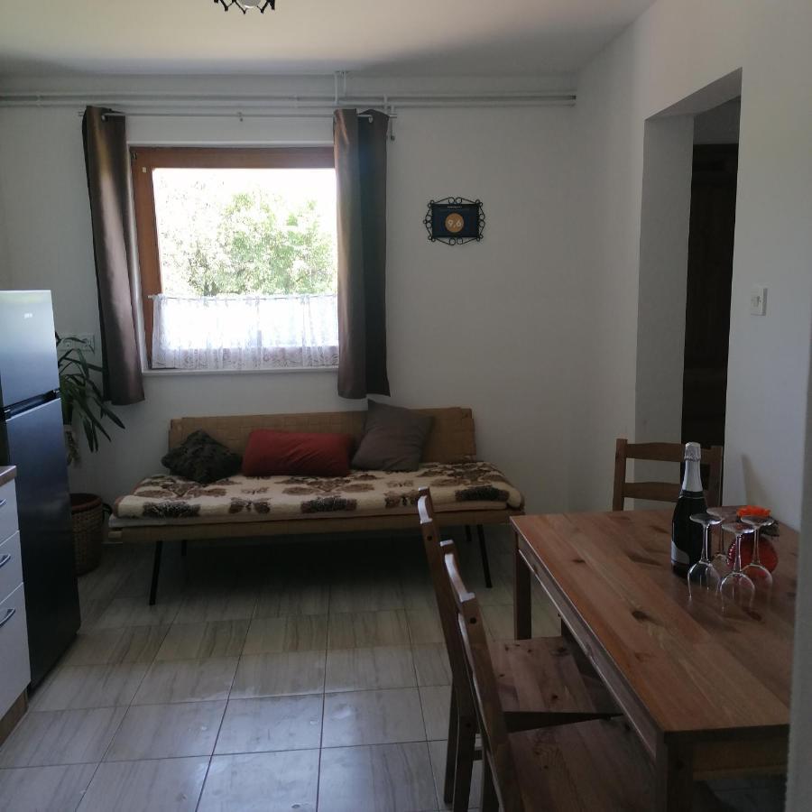 Apartmaji Borstner Vransko Bagian luar foto