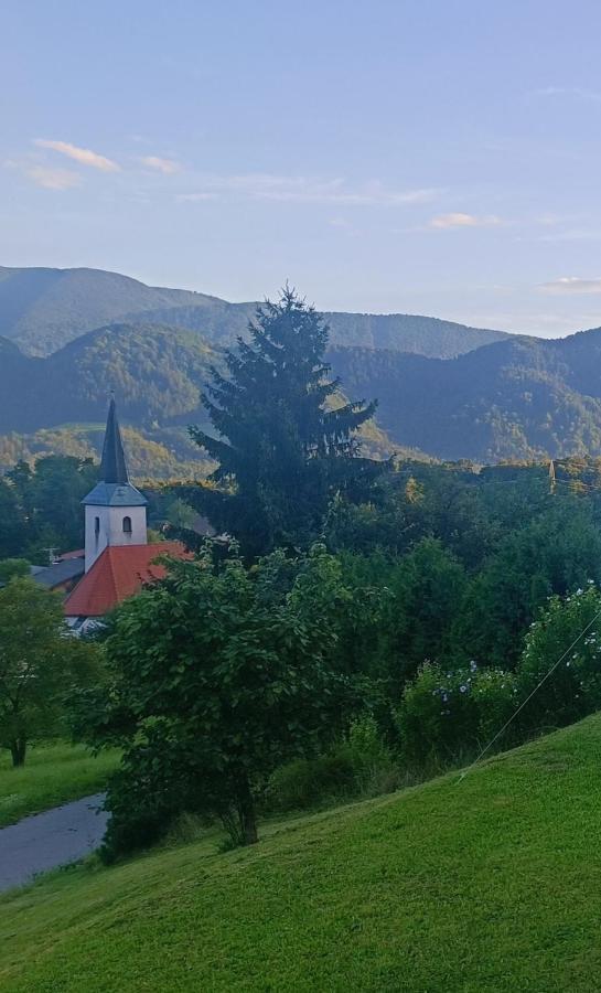 Apartmaji Borstner Vransko Bagian luar foto