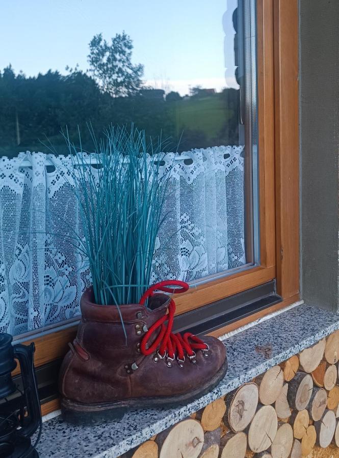 Apartmaji Borstner Vransko Bagian luar foto
