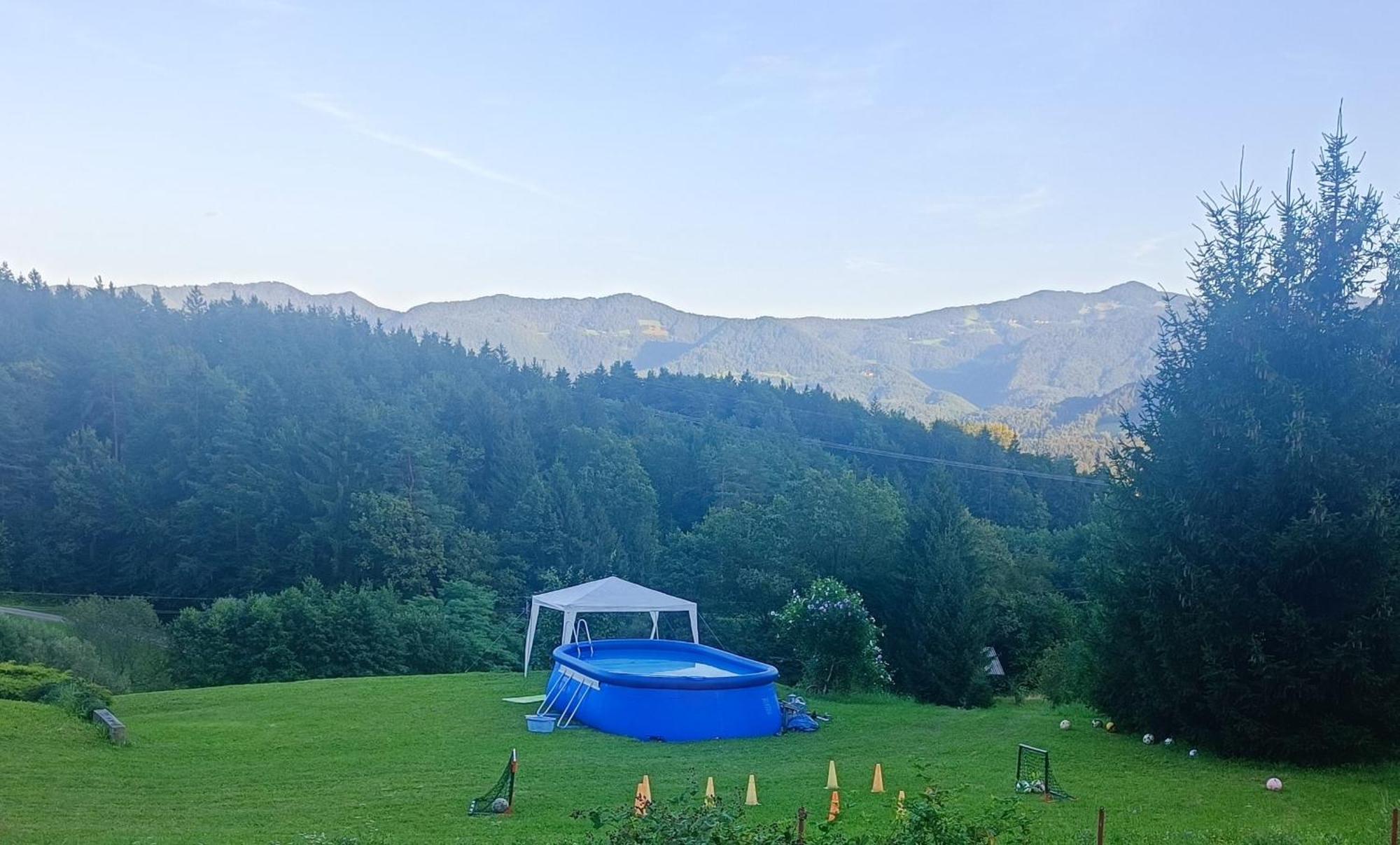 Apartmaji Borstner Vransko Bagian luar foto