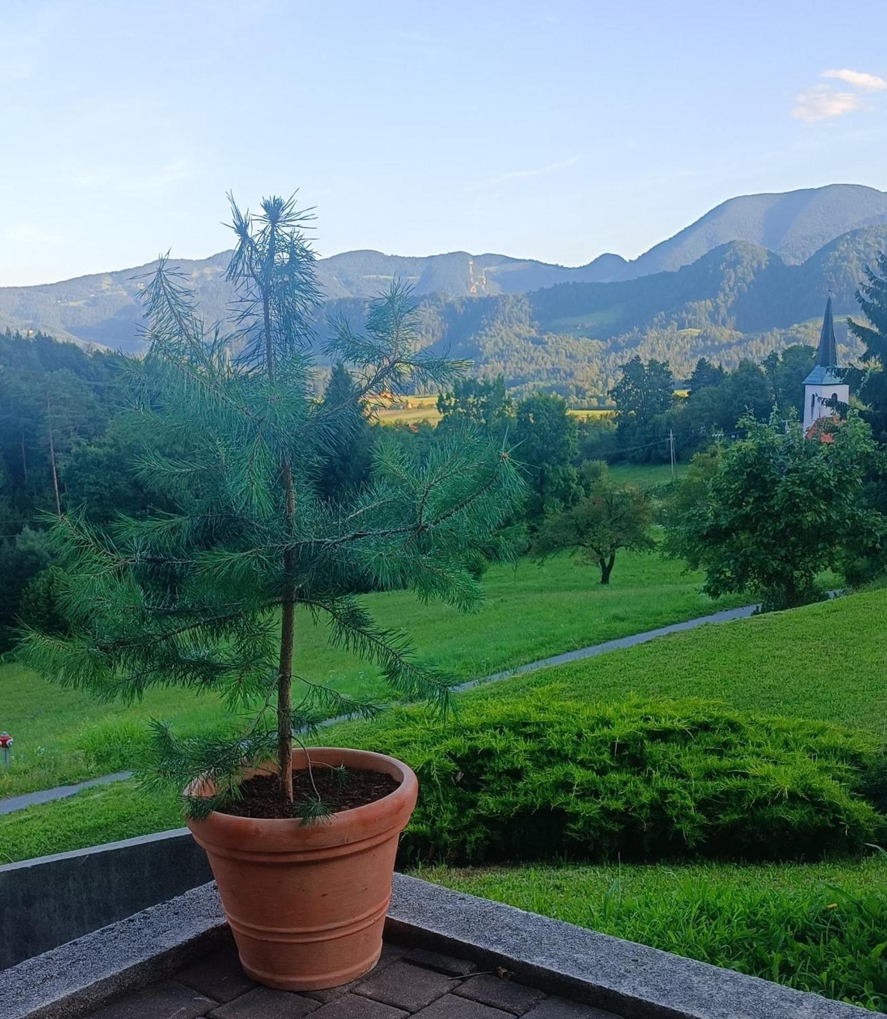 Apartmaji Borstner Vransko Bagian luar foto