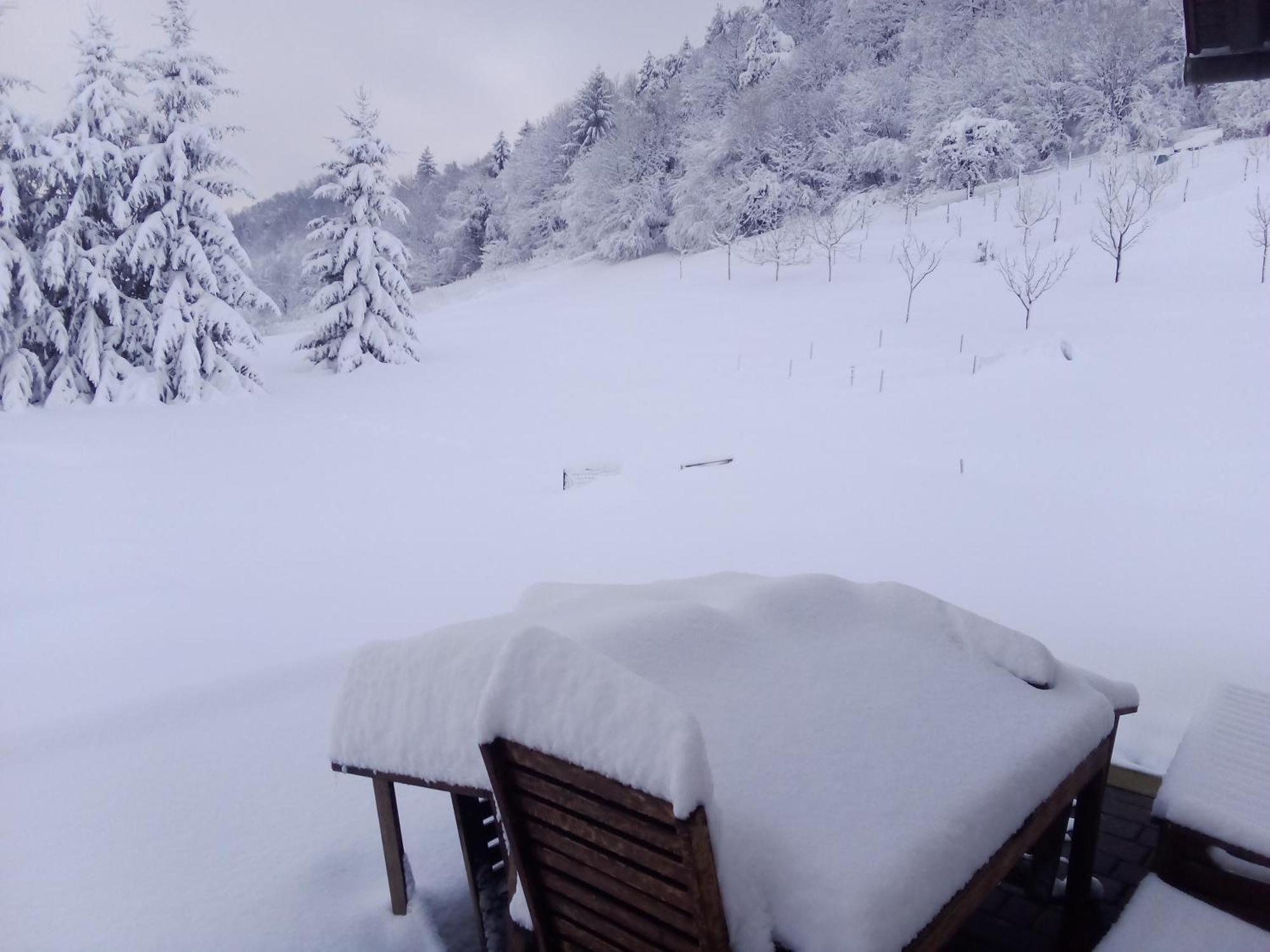 Apartmaji Borstner Vransko Bagian luar foto