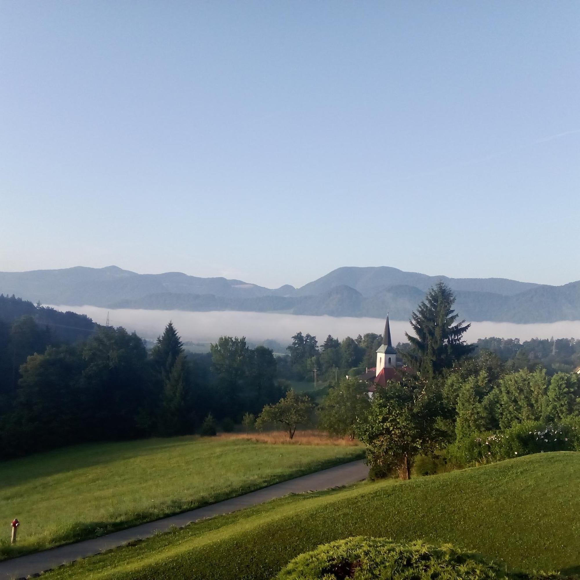Apartmaji Borstner Vransko Bagian luar foto